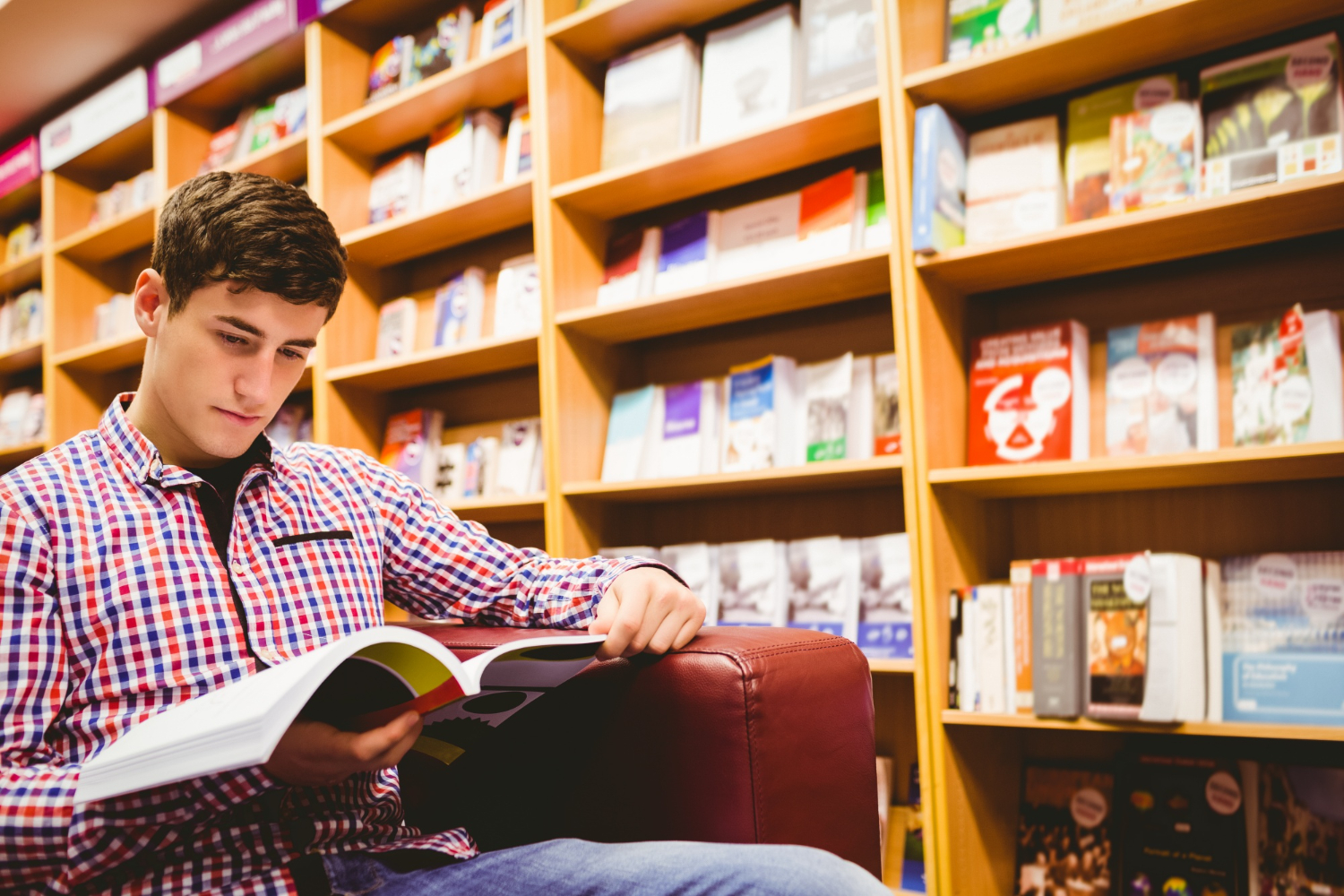 Mejores bibliotecas para estudiar en San Sebastián