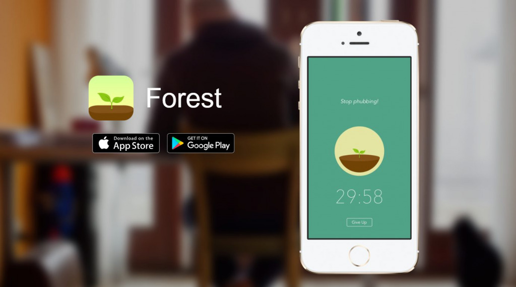 Forest y la importancia del control de distracciones